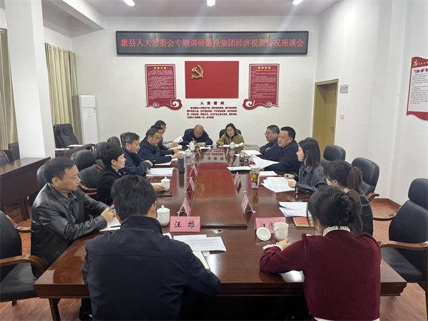 4月7日，县人大常委会主任梅代军带队专题调研星空（中国）集团经济税源情况，集团洪董、叶总、方总参加调研座谈。.jpg