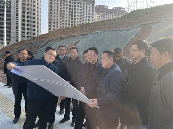 1月19日汪凯县长一行调研集团项目建设（星空（中国）大厦）.jpg